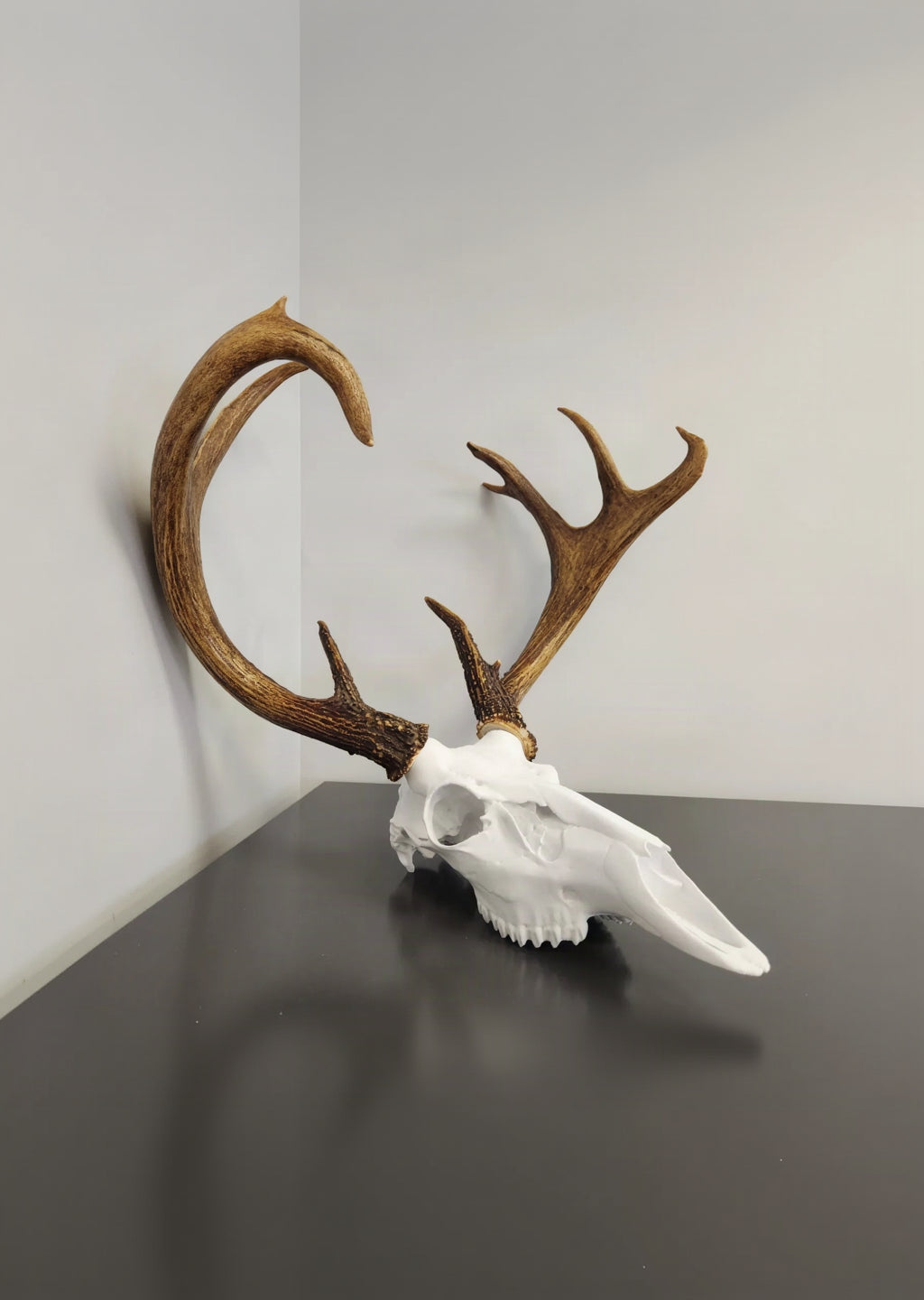Layers Monk | 3D Printed Deer Skull Wall Decor with Antlers 🦌