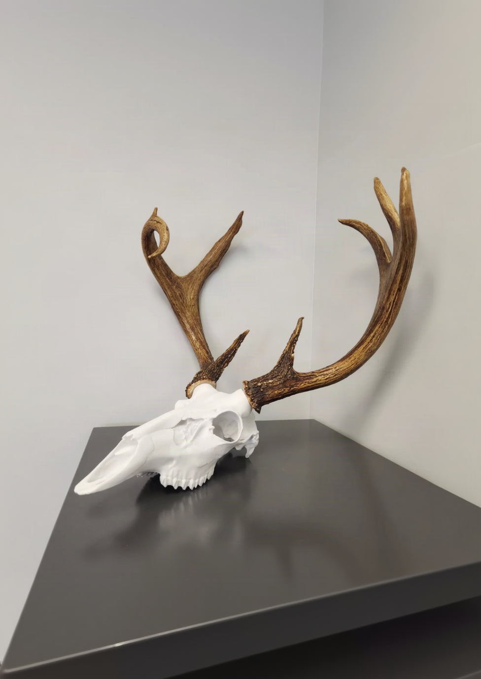 Layers Monk | 3D Printed Deer Skull Wall Decor with Antlers 🦌